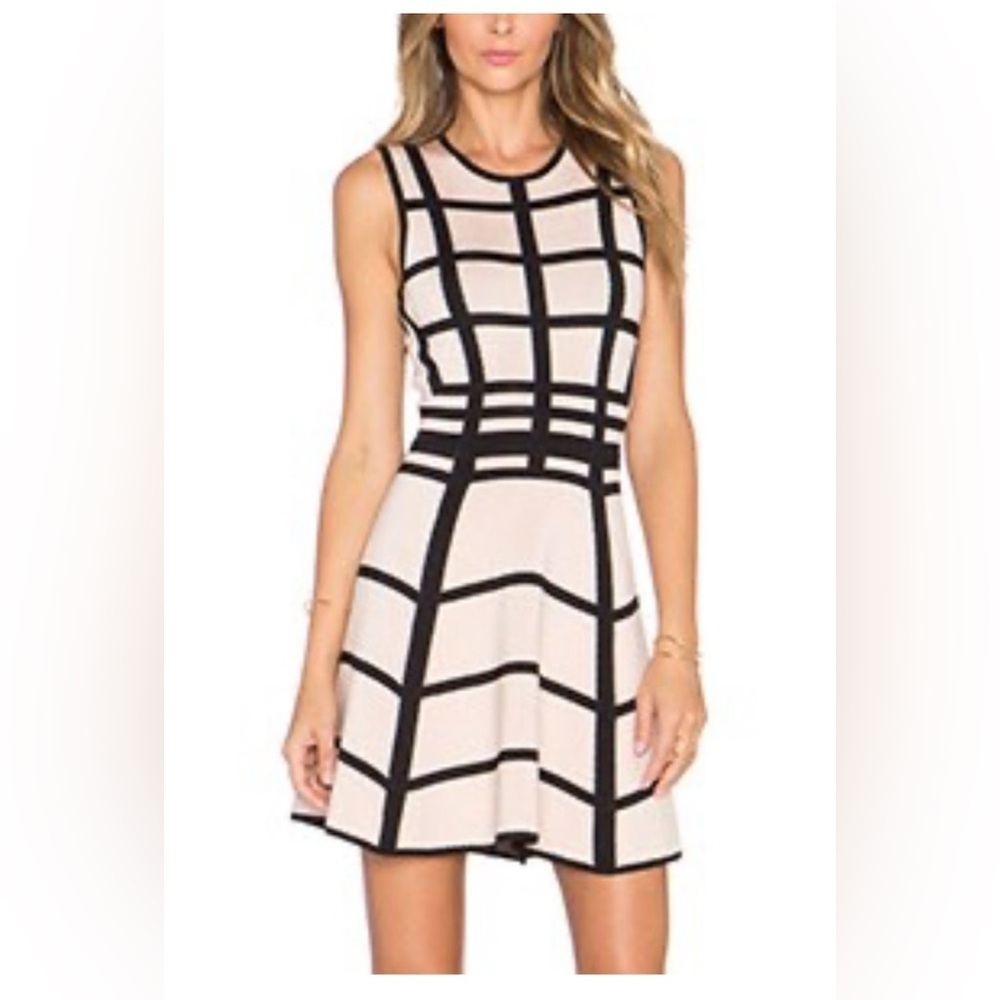 Torn by Ronny Kobo Black and Cream Mini Dress - Picture 5 of 12